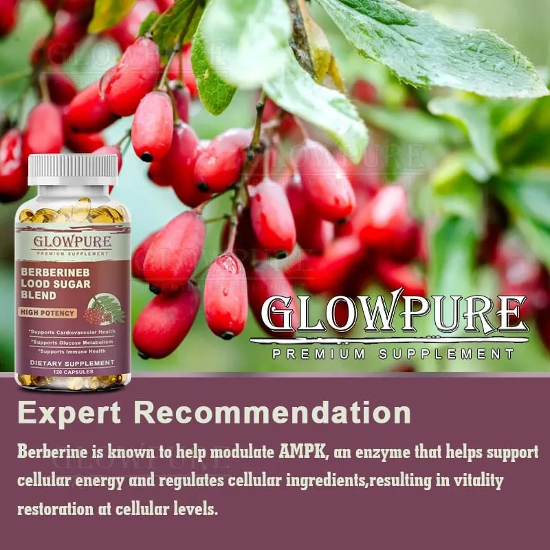 Berberine Capsules - Cardiovascular and Digestive Health Balance Liver Digestion Health with Ceylon Cinnamon Supplement — image 3