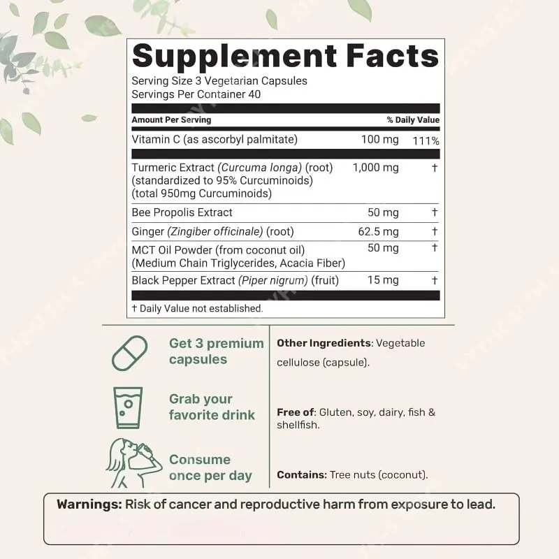 Turmeric Curcumin Supplement 1 000mg–95% Curcuminoids with Black Pepper & Ginger–Supports Joint & Antioxidant Health 120Capsules