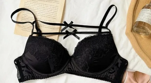 Sexy Lace Bra Set Women Ultra Thin Push Up Small Bust Anti-Sagging Comfort Party Lingerie Breathable Hot Sale Bra and Panty Set — image 13
