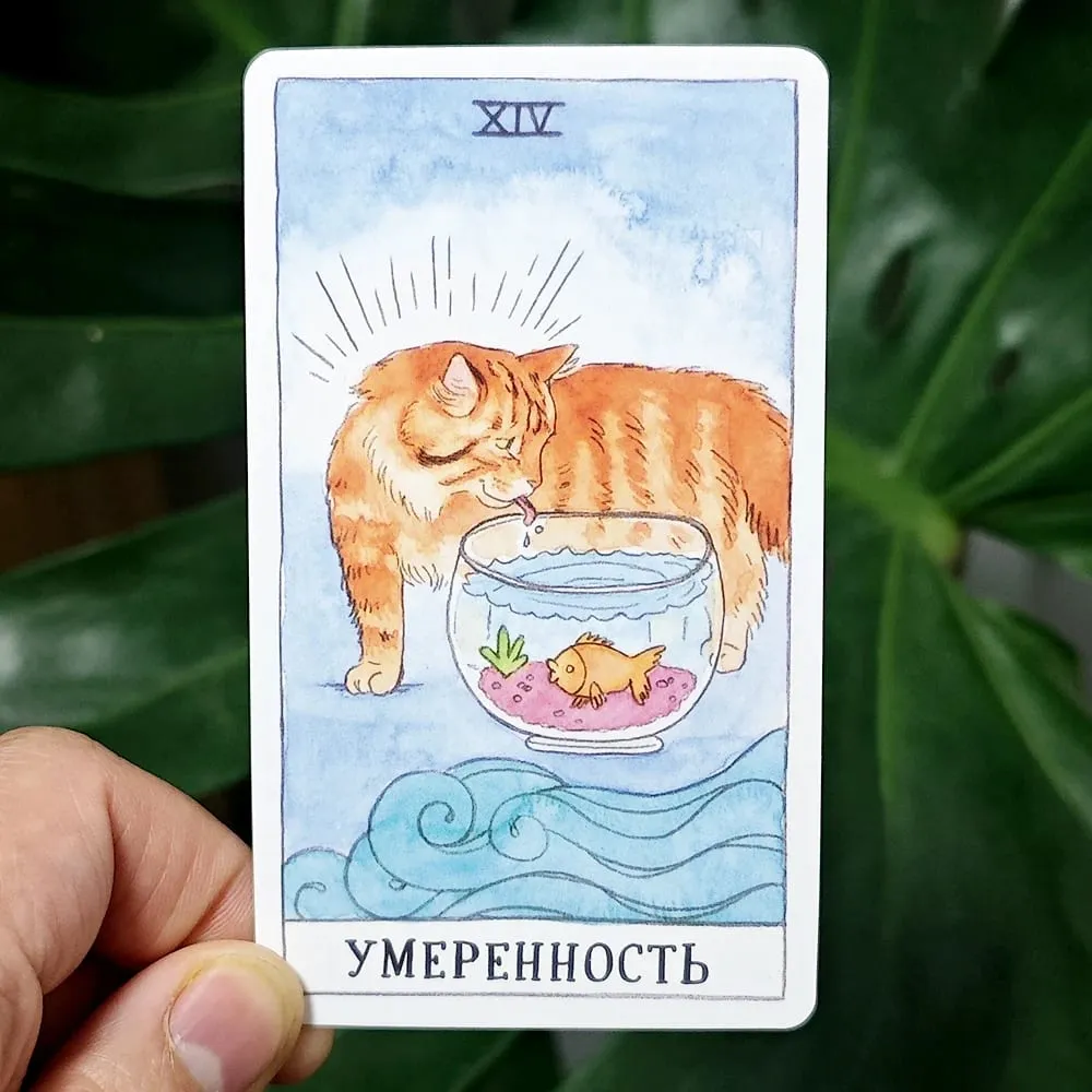 Cat Tarot Ρωσική γλώσσα 10,3*6cm Συνδυάστε την αυθεντικότητα με την αίσθηση του χιούμορ της γάτας 78 τμχ Κάρτες Ταρώ με θέμα τη γάτα — image 2