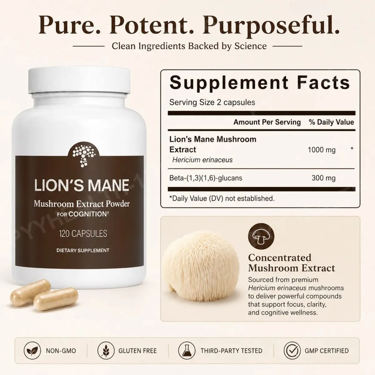 Lion's Mane Mushroom Extract 1000 mg with 300 mg Beta-Glucans Daily Focus and Wellness Support 120 Capsules 60 Servings