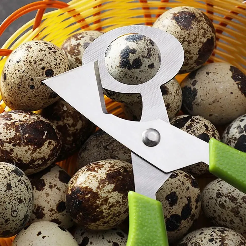1-20PCS Stainless Steel Quail Egg Scissors Egg Shell Cutter Opener - High Quality Steel Blades Brand New Durable Egg Slicer Tool — image 4
