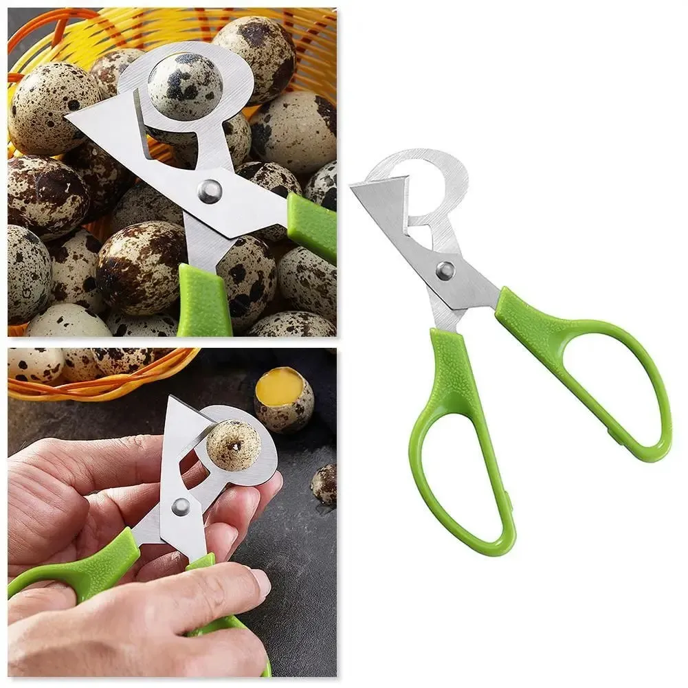 1-20PCS Stainless Steel Quail Egg Scissors Egg Shell Cutter Opener - High Quality Steel Blades Brand New Durable Egg Slicer Tool — image 2