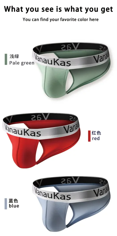 Men's High Cut Panties Soft Modal Fabric Low Rise Briefs Sexy Comfortable Underwear — image 15