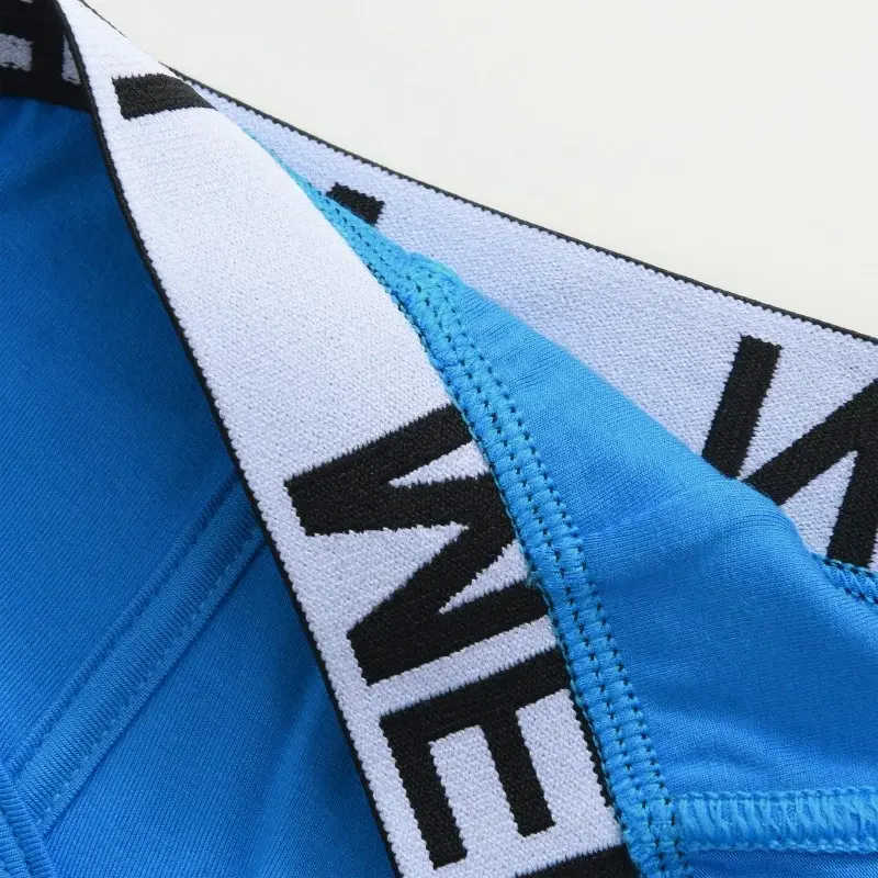 1Pcs/Set Men's Viscose Letter Panties Seamless High Quality Breathable Underpants Male Elastic Soft Comfortable Underwear S-XL — image 17