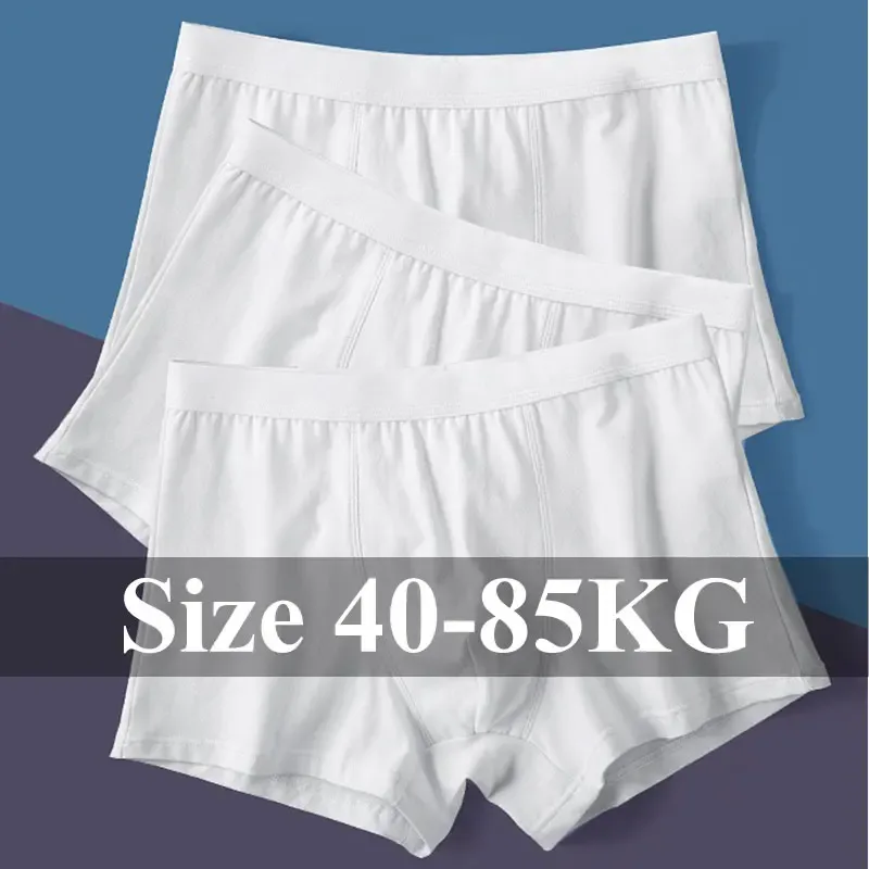1pc/3pcs Set Men's Underwear Cotton Boxers Shorts U Pouch Panties Boy's Underpants Male Youth Clothing Homme Luxury Underware — image 2