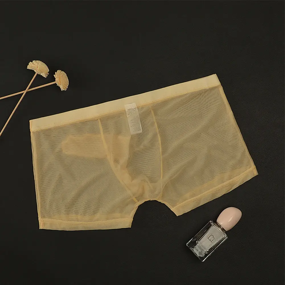 Biancheria intima leggera trasparente da uomo sexy in rete trasparente trasparente con boxer traspiranti, mutandine boxer maschili con separazione di proiettili — image 8