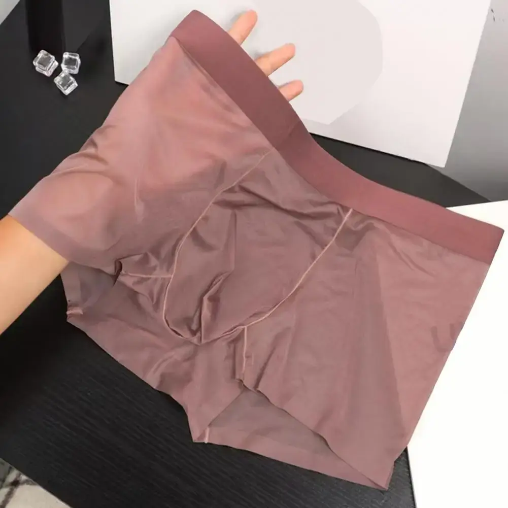 Män Boxer Transparent Lättvikts Underkläder Elastisk U-Konvex Tunn Perspektiv Shorts Sömlösa Trosor — image 10