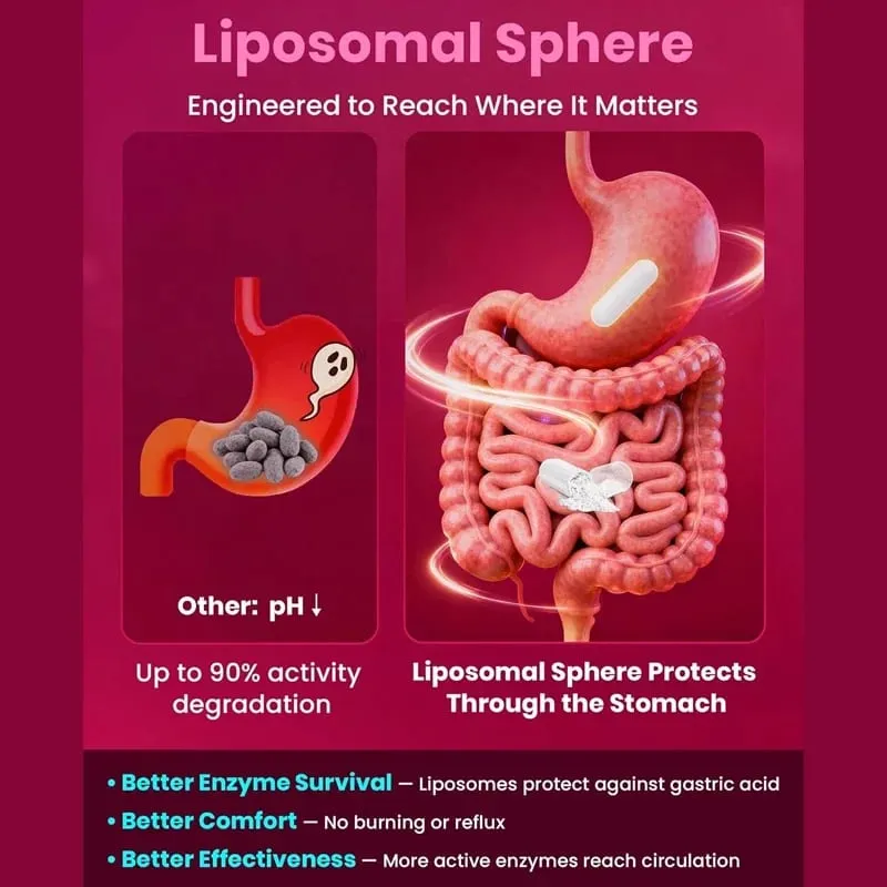 Nattokinase Serrapeptase Supplement Support Circulation Energy Inflammation Relief & Overall Body Health for Adults