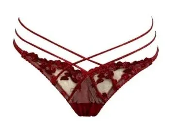 Summer Lace Embroidery Cross Tie Lingerie Set Sheer Mesh Push Up Bra Comfortable Daily Wear Underwear for Women Size 32-38 — image 12