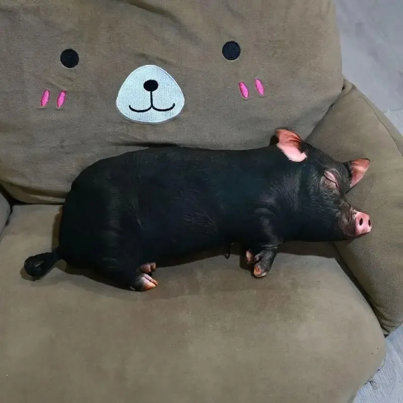 Pig Shaped 3D Plush Pillow Super Soft Comfortable Fabric Decorative Cushion for Living Room Sofa Bed