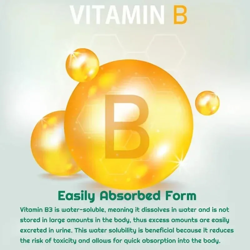 Niacinamide Vitamin B3 Capsules - Supports Brain Function and Heart Health Boosts Energy Production and Enhances Immunity