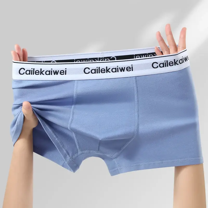 5Pcs Boxer Shorts Men's Underwear Sexy Panties Pure Cotton Solid Elasticity Man Underpants Male Boxers Homme U Convex Lingerie — image 13