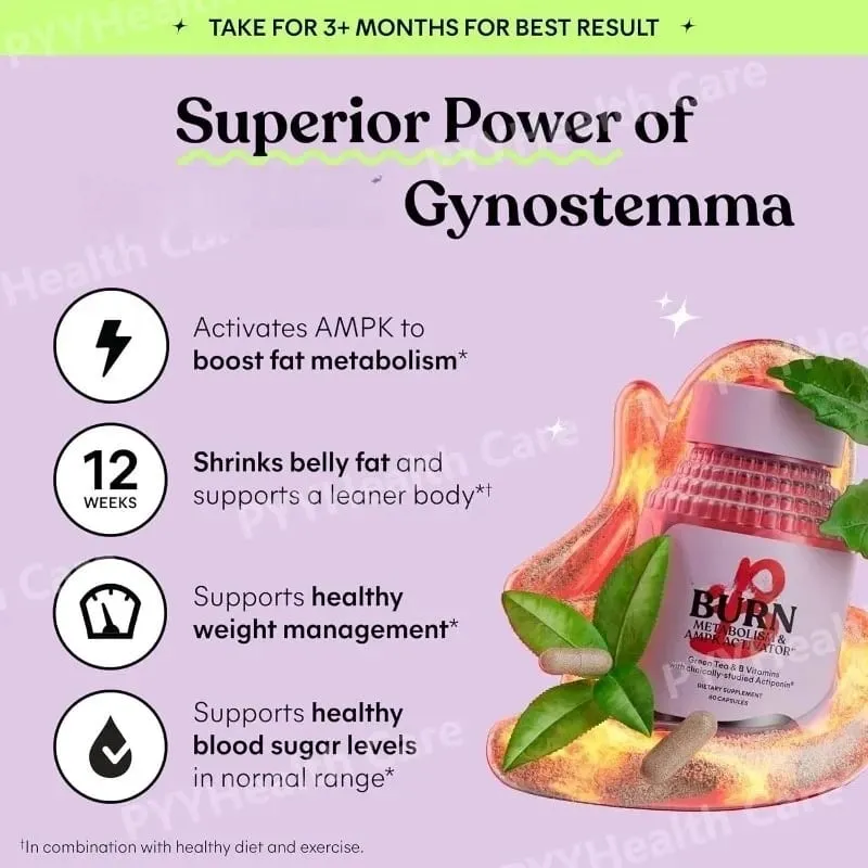 Belly Fat Burning Metabolism AMPK Activating Supplement for Men Women Actiponin Gynostemma Vitamins B6 B12 60 Capsules — image 4
