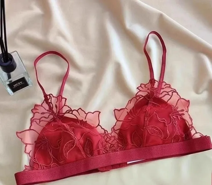 Women's French Embroidered Lace Bralette Set Ultra Thin Sexy Triangle Non Padded Wirefree Bra Small Chest Elegant Straps S-XL — image 8