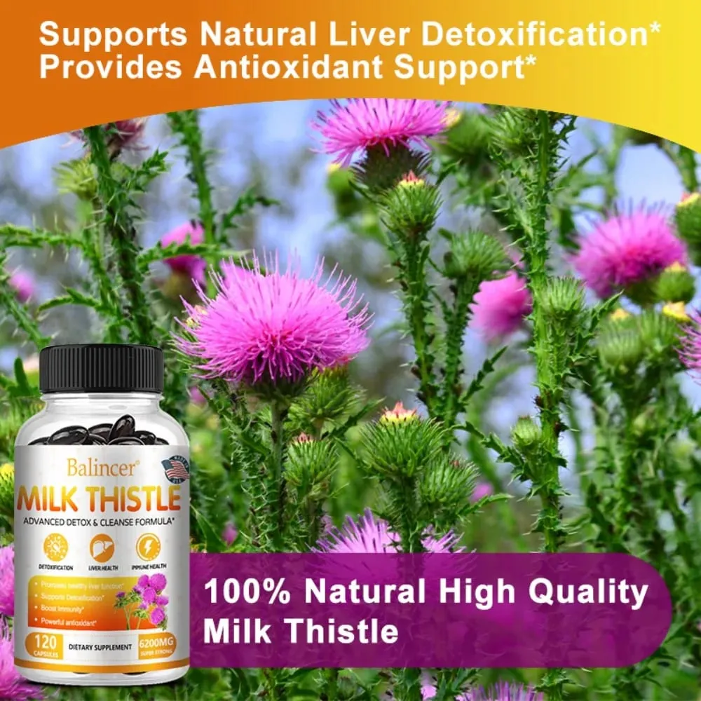 Milk Thistle with Dandelion Root - for Kidney & Liver Health Liver Detox and Cleanse Promotes Skin and Digestive Health — image 6