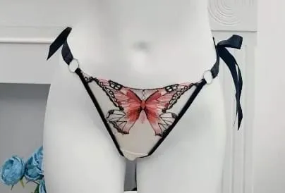 French Luxury Embroidery Sheer Lace Lingerie Set Lift Thin Cup Plus Size Big Bust Minimize Soft Transparent Intimate Wear 34-40 — image 12