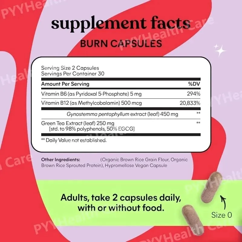 Belly Fat Burning Metabolism AMPK Activating Supplement for Men Women Actiponin Gynostemma Vitamins B6 B12 60 Capsules — image 5