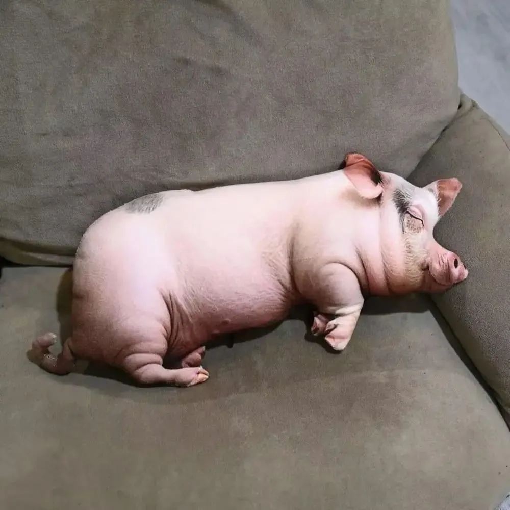 Plush Material Animal Body Pillow PP Cotton Filled Soft Texture Animal Cushion Doll Toys Cute Design 40cm Size Pig Keychain