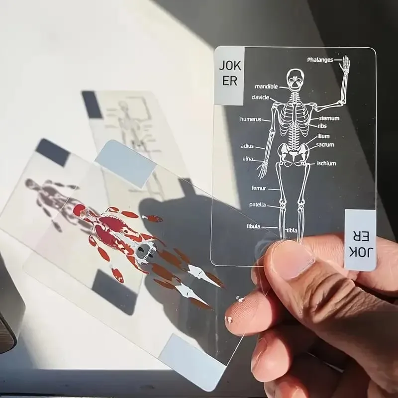 Human Skeleton Knowledge Poker Cards Transparent PVC Waterproof Cards Educational Gifts and Collectibles for Medical Students — image 5