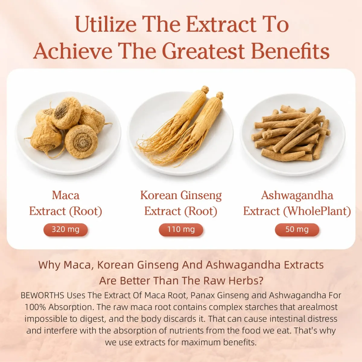 Beste Maca-capsules voor de gezondheid van mannen met roodgele en zwarte Maca