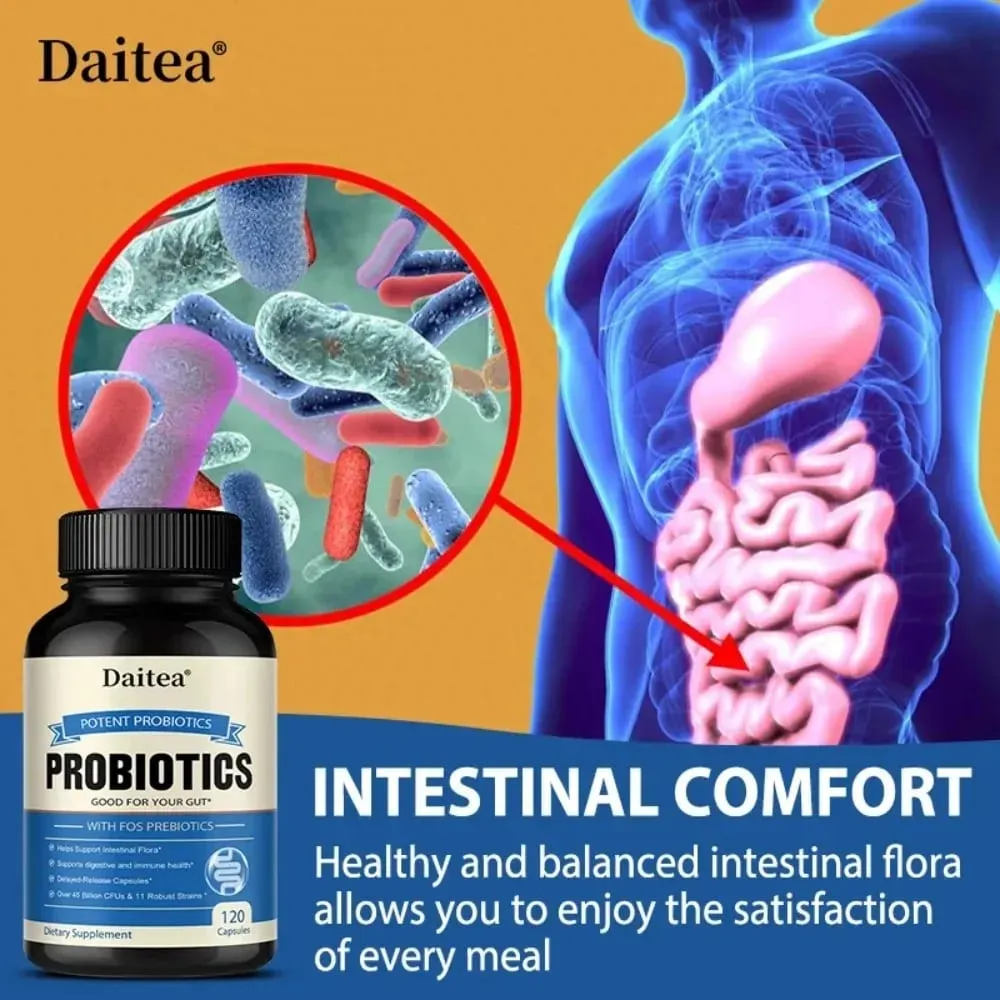 Probiotics 45 Bilion CFUs with Prebiotics Supports Immune Gut Health for Women & Men - 120 Capsules — image 3