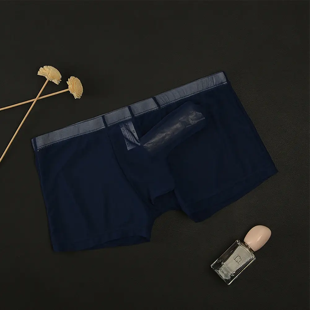 Biancheria intima leggera trasparente da uomo sexy in rete trasparente trasparente con boxer traspiranti, mutandine boxer maschili con separazione di proiettili — image 1