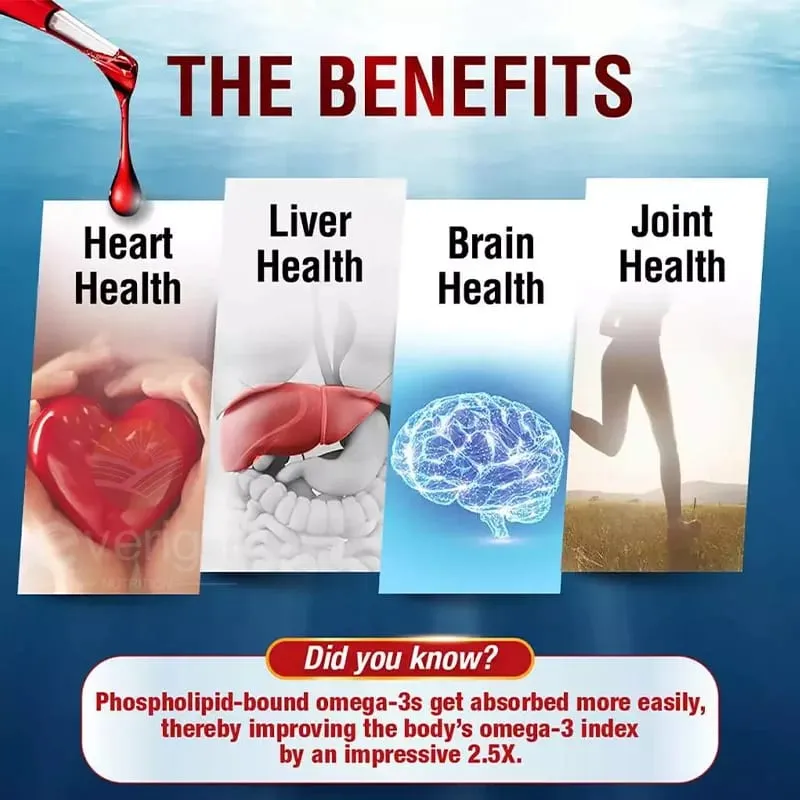 Krill Oil - Phospholipid Omega-3 Complex with Astaxanthin - Support Lipid Management Metabolism Brain & Heart Health - EPA DHA