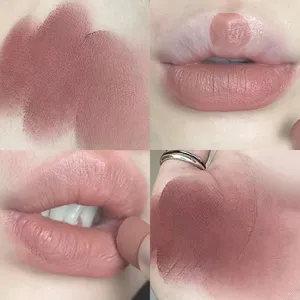 Lápiz labial de terciopelo resistente al agua, fácil de usar, lápiz labial de larga duración, esmalte de labios de café desnudo mate, taza antiadherente, maquillaje, tinte labial cosmético