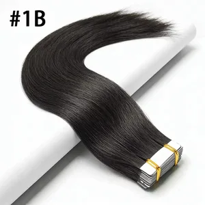 #1B